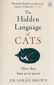 Obrazek The Hidden Language of Cats Learn what your feline friend is trying to tell you