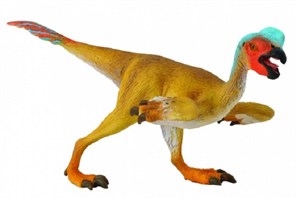 Obrazek Dinozaur Owiraptor M