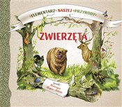 Elementarz... - Katarzyna Kopiec-Sekieta -  Polish Bookstore 