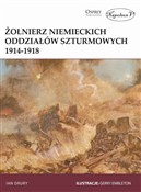 polish book : Żołnierz n... - Ian Drury