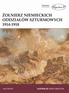 Obrazek Żołnierz niemieckich oddziałów szturmowych 1914-1918
