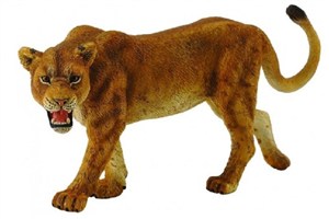 Obrazek Lwica afrykańska L