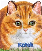 Kotek - Monika Eisele, Ray Cresswell - Ksiegarnia w UK