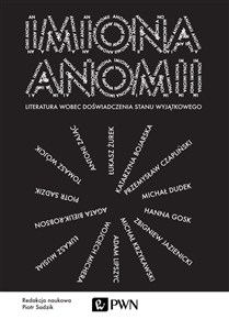 Obrazek Imiona anomii Literatura wobec doświadczenia stanu wyjątkowego