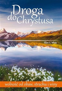 Picture of Droga do Chrystusa- maly format