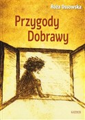 polish book : Przygody D... - Róża Ossowska