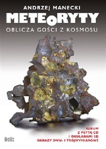 Obrazek Meteoryty Oblicza gości z kosmosu