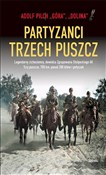 polish book : Partyzanci... - Adolf Pilch