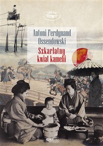 Obrazek Szkarłatny kwiat kamelii