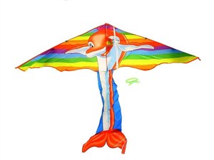 Obrazek Latawiec delfin