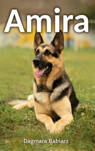 Obrazek Amira