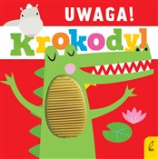 Książka : Uwaga krok... - Anna Paszkiewicz