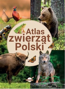Obrazek Atlas zwierząt Polski