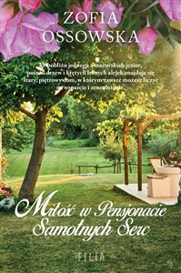 Obrazek Miłość w Pensjonacie Samotnych Serc