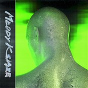 polish book : [Audiobook... - White 2115