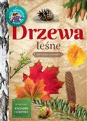 Drzewa leś... - Małgorzata Wilamowska -  books from Poland