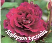 Książka : Perełka 20...