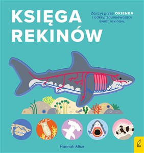 Obrazek Księga rekinów Encyklopedia z folią