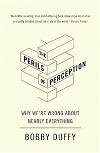 Picture of The Perils of Perception
