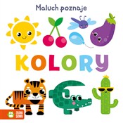 polish book : Maluch poz... - Opracowanie Zbiorowe