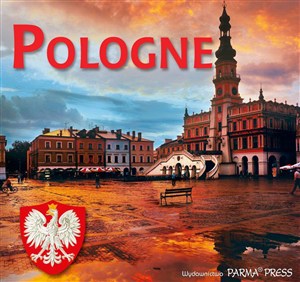 Obrazek Pologne mini