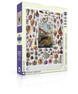 Picture of Puzzle 1000 Mięczaki, Collage