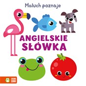Maluch poz... -  Książka z wysyłką do UK
