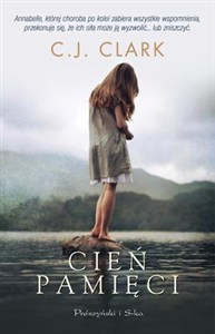 Obrazek Cień pamięci