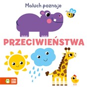 polish book : Maluch poz... - Opracowanie Zbiorowe