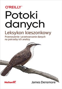 Obrazek Potoki danych Leksykon kieszonkowy Przenoszenie i przetwarzanie danych na potrzeby ich analizy