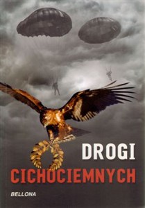 Obrazek Drogi cichociemnych