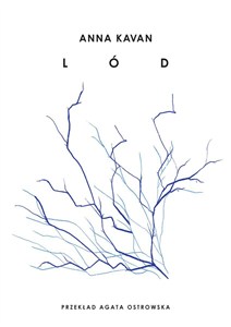 Picture of Lód