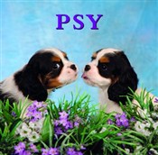 Książka : Psy - Jon Stroud