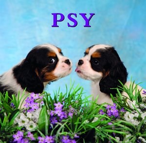 Obrazek Psy