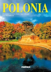 Obrazek Polska wer. włoska