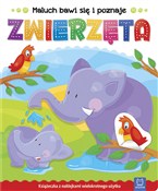 Maluch baw... - opracowanie zbiorowe -  Polish Bookstore 