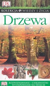Obrazek Drzewa