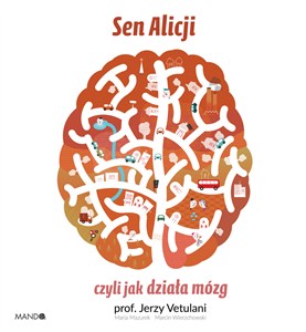 Obrazek Sen Alicji czyli jak działa mózg