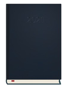 Picture of Terminarz 2021 Powszechny MiP granat