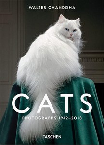 Obrazek Cats Photographs 1942-2018