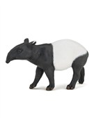 Zobacz : Tapir