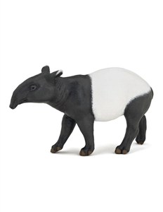 Picture of Tapir