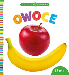 Picture of Maluszek poznaje Owoce