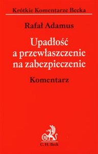 Obrazek Upadłość a przewłaszczenie na zabezpieczenie Komentarz