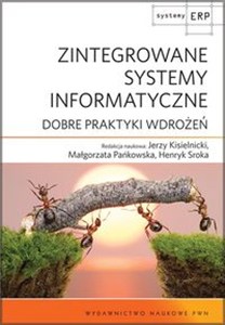 Obrazek Zintegrowane Systemy Informatyczne Dobre praktyki wdrożeń.
