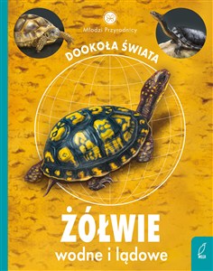 Obrazek Młodzi przyrodnicy Żółwie wodne i lądowe