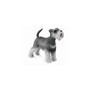 Obrazek Schnauzer M