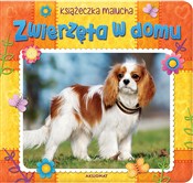 Książka : Zwierzęta ... - Opracowanie Zbiorowe