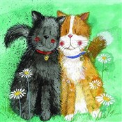 Polska książka : Karnet AC6...