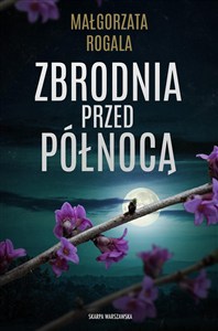 Obrazek Zbrodnia przed północą